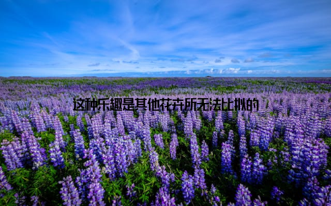 这种乐趣是其他花卉所无法比拟的