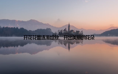 开花花蕾逐渐绽放, 开出美丽的花朵