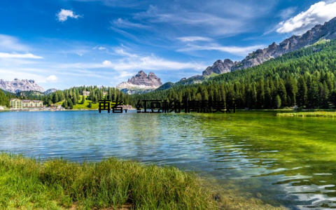 再者, 红豆杉的寓意美好