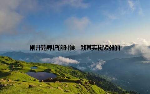 刚开始养护的时候, 我其实挺紧张的