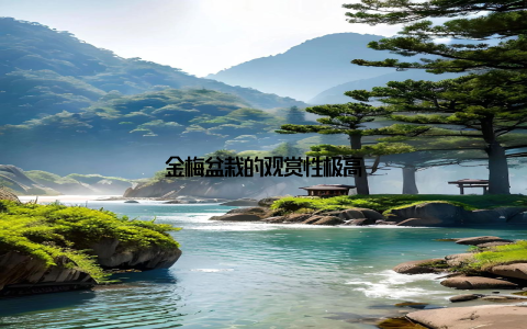 金梅盆栽的观赏性极高