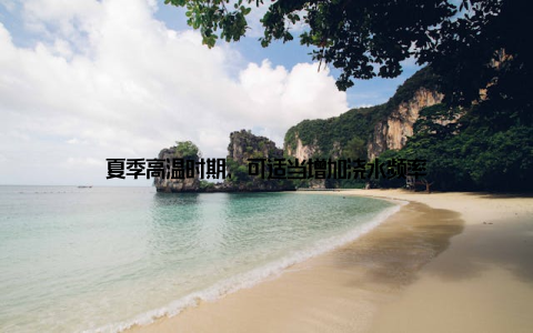 夏季高温时期, 可适当增加浇水频率