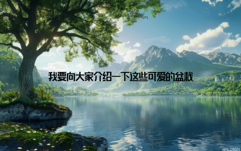 我要向大家介绍一下这些可爱的盆栽