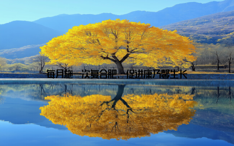 每月施一次复合肥, 促进康乃馨生长