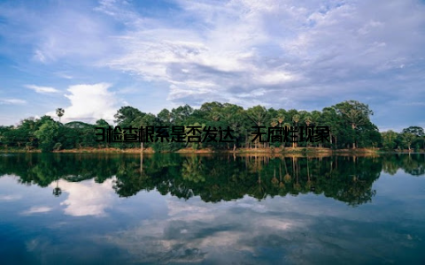 3检查根系是否发达, 无腐烂现象