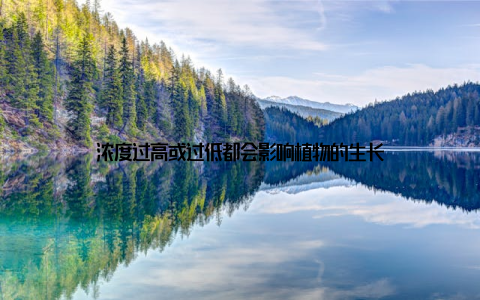 浓度过高或过低都会影响植物的生长