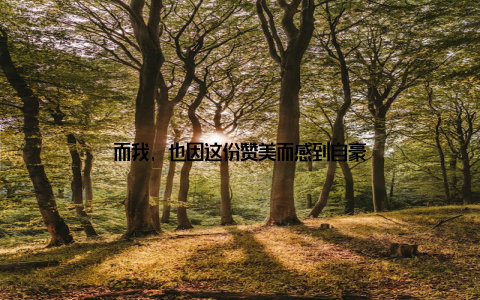 而我, 也因这份赞美而感到自豪