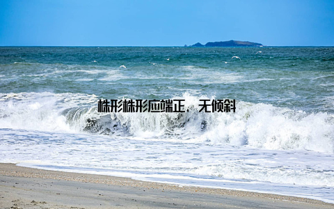 株形株形应端正, 无倾斜