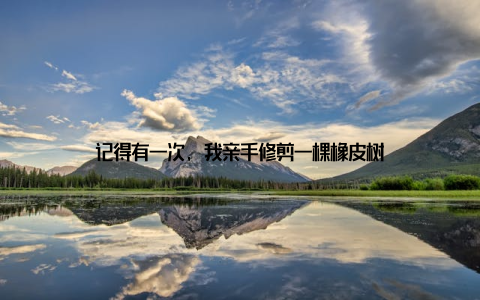 记得有一次, 我亲手修剪一棵橡皮树