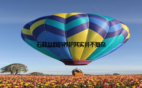 石蒜盆栽的养护其实并不复杂