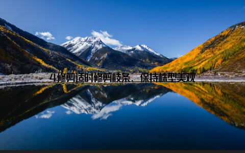 4修剪适时修剪枝条, 保持株型美观