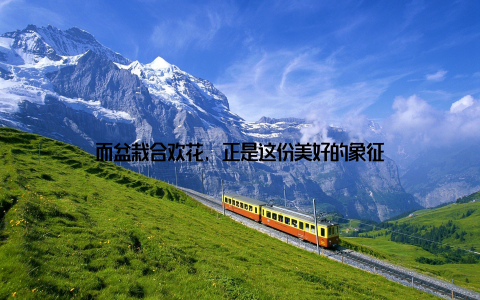 而盆栽合欢花, 正是这份美好的象征