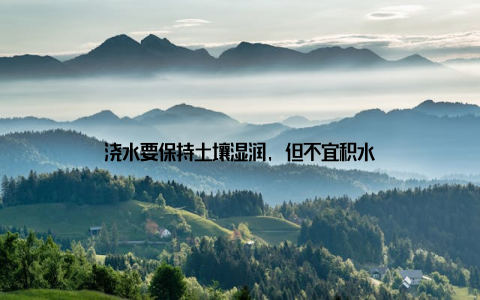 浇水要保持土壤湿润, 但不宜积水