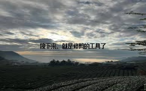 接下来, 就是修剪的工具了