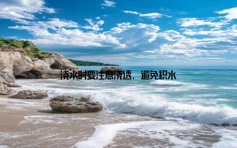 浇水时要注意浇透, 避免积水