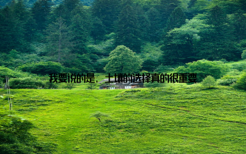 我要说的是, 土壤的选择真的很重要