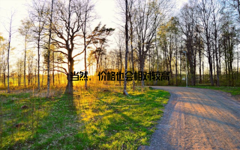 当然, 价格也会相对较高