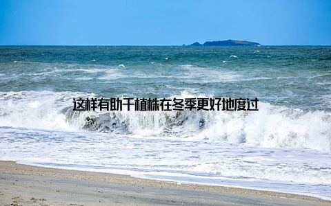 这样有助于植株在冬季更好地度过