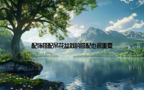 配饰搭配吊花盆栽的搭配也很重要