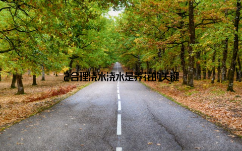 2合理浇水浇水是养花的关键