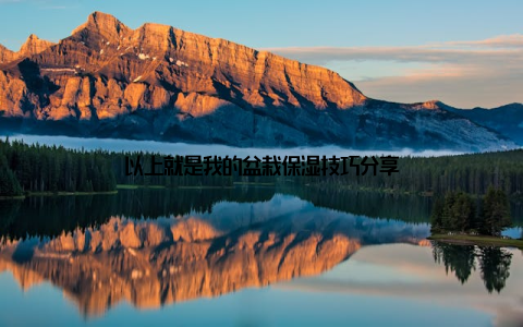 以上就是我的盆栽保湿技巧分享