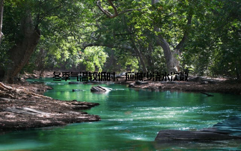 冬季气温较低时, 应减少浇水次数