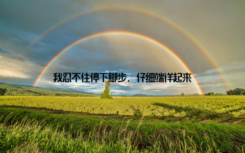 我忍不住停下脚步, 仔细端详起来