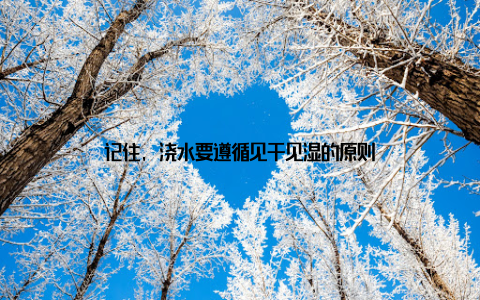 记住, 浇水要遵循见干见湿的原则