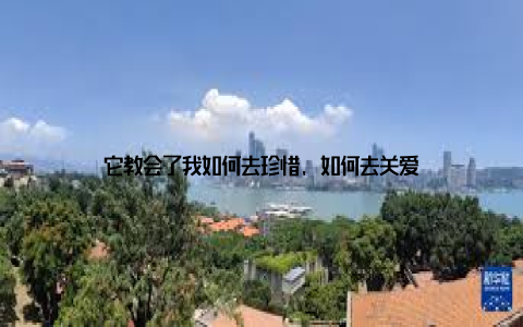 它教会了我如何去珍惜, 如何去关爱