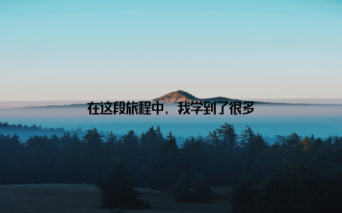 在这段旅程中, 我学到了很多