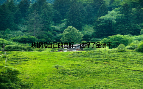 我根据自己的喜好, 选择了金佛手