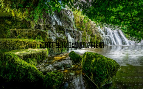 适用于生长旺盛期和开花期