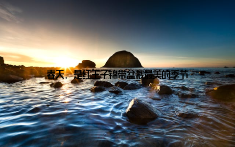 春天, 是红王子锦带盆栽最美的季节