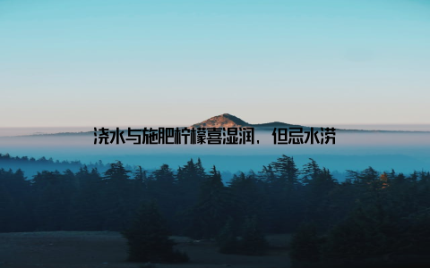 浇水与施肥柠檬喜湿润, 但忌水涝