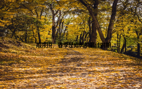 一般来说, 春季是修剪的最佳时期