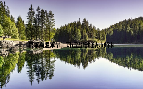 夏季高温季节, 可适当增加浇水频率