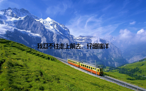 我忍不住走上前去, 仔细端详