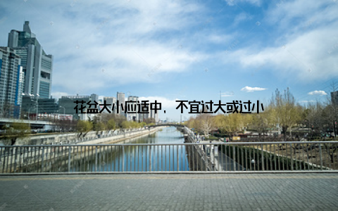 花盆大小应适中, 不宜过大或过小