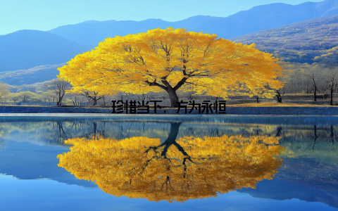 珍惜当下, 方为永恒