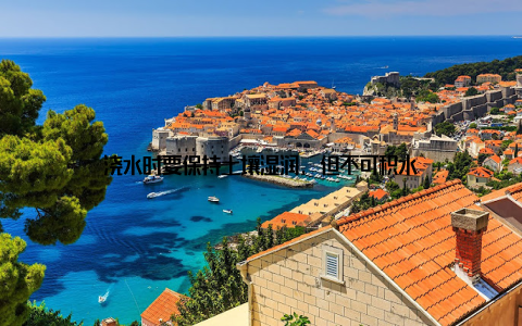 浇水时要保持土壤湿润, 但不可积水