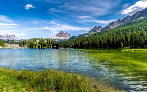 可以使用腐叶土、泥炭土等混合土壤