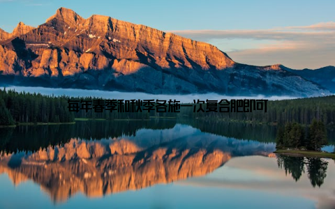 每年春季和秋季各施一次复合肥即可