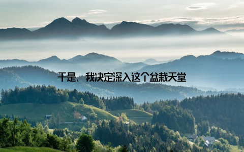 于是, 我决定深入这个盆栽天堂