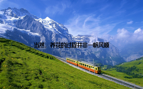 当然, 养花的过程并非一帆风顺