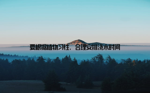 要根据植物习性, 合理安排浇水时间