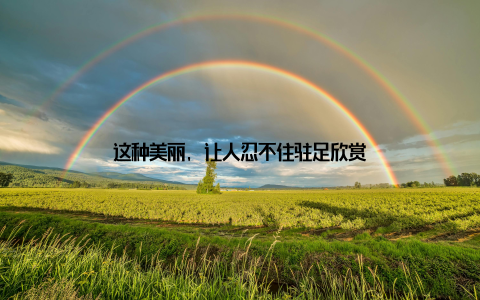 这种美丽, 让人忍不住驻足欣赏