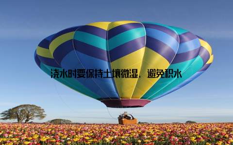 浇水时要保持土壤微湿, 避免积水