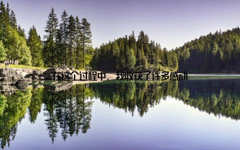 在这个过程中, 我收获了许多感动