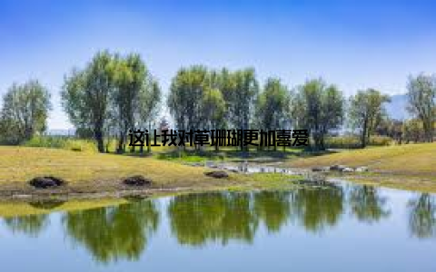 这让我对草珊瑚更加喜爱