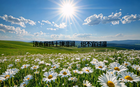 浇水保持土壤湿润, 但不宜过湿